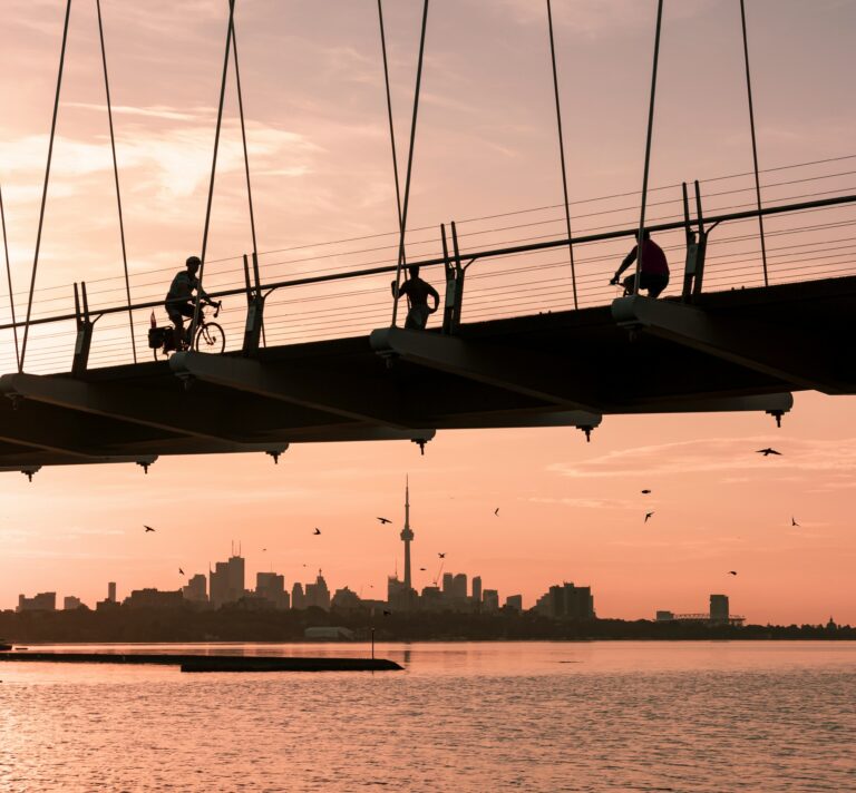 CITY lakeshore shorescape - Stair Remodeling